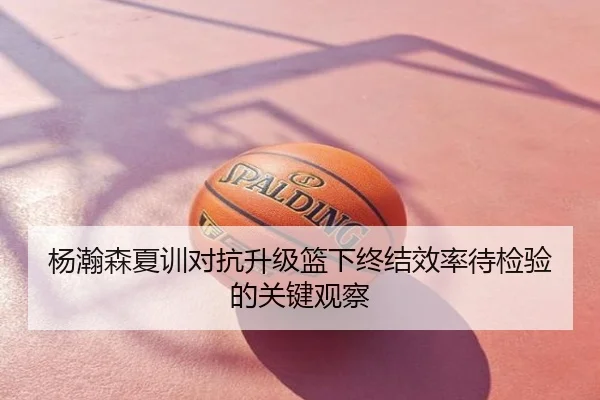杨瀚森夏训对抗升级篮下终结效率待检验的关键观察
