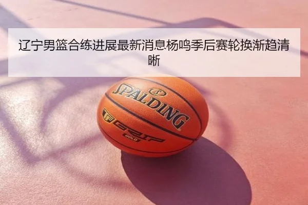 辽宁男篮合练进展最新消息杨鸣季后赛轮换渐趋清晰