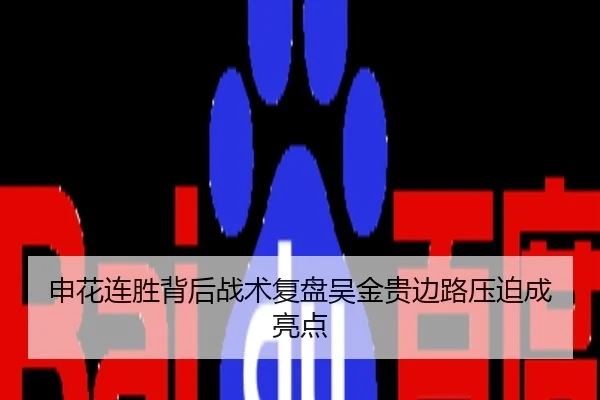申花连胜背后战术复盘吴金贵边路压迫成亮点