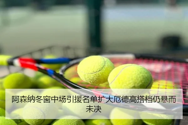 阿森纳冬窗中场引援名单扩大厄德高搭档仍悬而未决