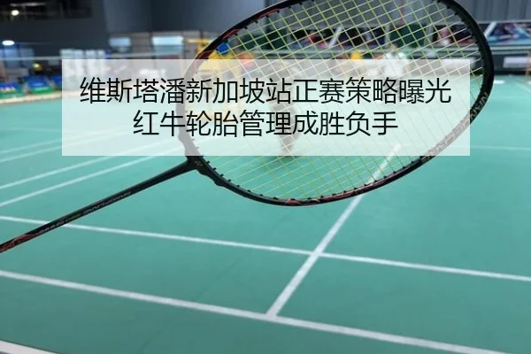 维斯塔潘新加坡站正赛策略曝光 红牛轮胎管理成胜负手